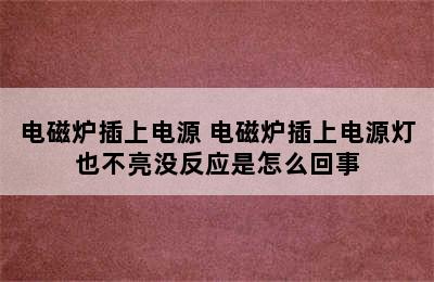 电磁炉插上电源 电磁炉插上电源灯也不亮没反应是怎么回事